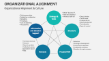Organizational Alignment & Culture - Slide 7