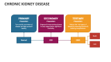 Chronic Kidney Disease - Slide 3