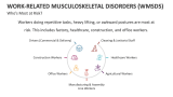 Who's Most at Risk Work-Related Musculoskeletal Disorders (WMSDS)? - Slide 6