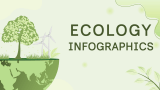 Ecology Infographics - Slide 1