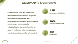 Green and White Presentation Template - Slide 3