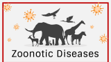 Zoonotic Diseases - Slide 1