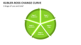 5 Stage of Loss and Grief | Kubler-Ross Change Curve - Slide 4