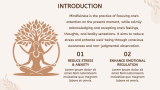 Mindfulness - Slide 3