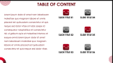 Netflix Case Study Presentation - Slide 2