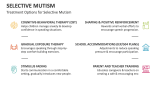 Treatment Options for Selective Mutism - Slide 10
