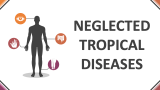 Neglected Tropical Diseases - Slide 1