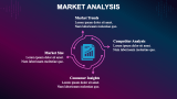 Music Record Marketing Plan - Slide 3