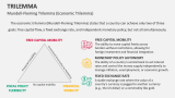 Mundell-Fleming Trilemma (Economic Trilemma) - Slide 2