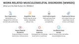 What are the Risk factors for Work-Related Musculoskeletal Disorders (WMSDS)? - Slide 5