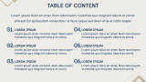 Management Consulting Slides - Slide 2