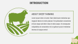 Sheep Farming Business Plan - Slide 3