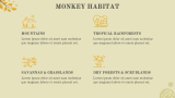 Monkey Presentation - Slide 5