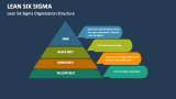 Lean Six Sigma Organization Structure - Slide 8