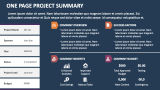 One Page Project Summary - Slide 1