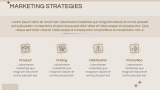 Aesthetic Marketing Plan - Slide 7