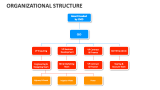 Organizational Structure - Slide 8