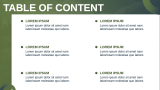 Solar Company Business Plan - Slide 2