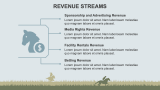 Horse Racing Pitch Deck - Slide 8