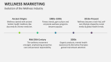 Evolution of the Wellness Industry - Slide 3