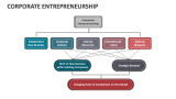 Corporate Entrepreneurship - Slide 3
