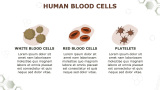 Biology For High School Presentation - Slide 5