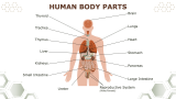 Biology For High School Presentation - Slide 4