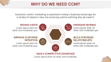 Customer-Centric Marketing - Slide 4