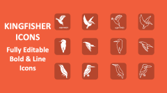 Kingfisher Icons - Slide 1