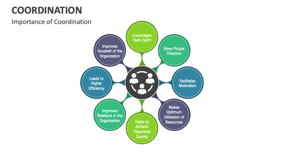 Coordination PowerPoint and Google Slides Template - PPT Slides