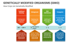 How Crops are Genetically Modified Organisms - Slide 9