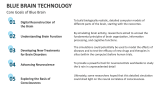 Core Goals of Blue Brain - Slide 3