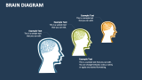 Brain Diagram - Slide 2