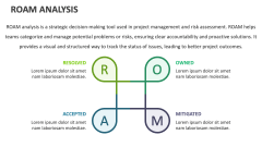 Roam Analysis - Slide 1