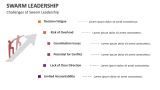 Challenges of Swarm Leadership - Slide 9
