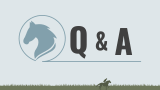 Horse Racing Pitch Deck - Slide 13