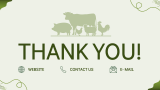 Livestock Farming Business Plan - Slide 16