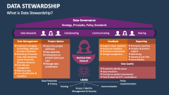 What is Data Stewardship? - Slide 1