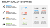 Executive Summary Infographics - Slide 4