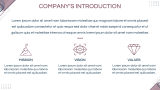 Aesthetic E-Commerce Business Plan - Slide 3