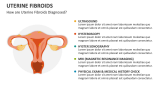 How are Uterine Fibroids Diagnosed? - Slide 6