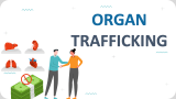 Organ Trafficking - Slide 1
