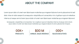 Sales Plan - Slide 3