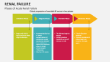 Phases of Acute Renal Failure - Slide 4