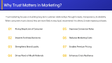 Trust Marketing - Slide 3
