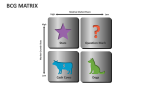 Bcg Matrix - Slide 2