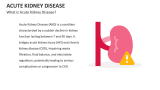 What is Acute Kidney Disease? - Slide 2
