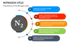 Importance of the Nitrogen Cycle - Slide 3