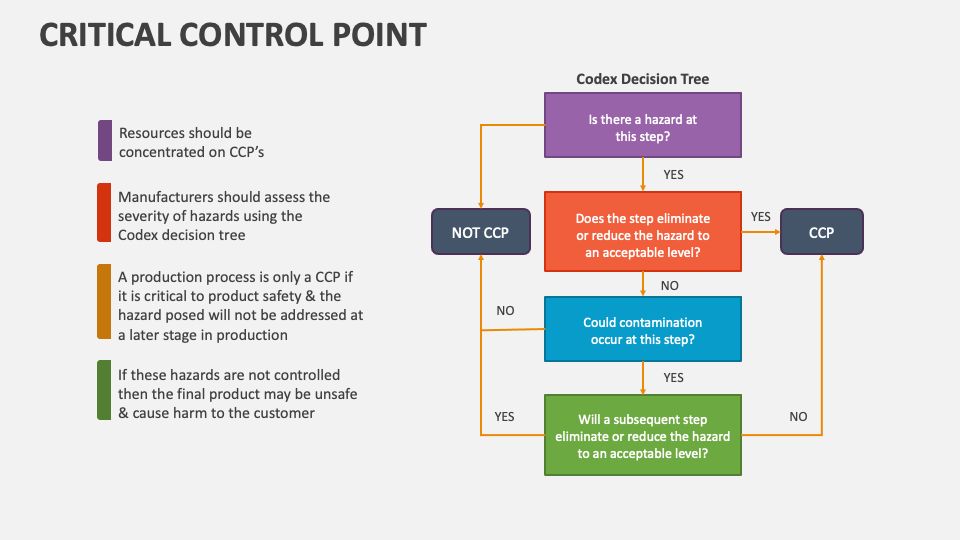 Critical Control Point PowerPoint and Google Slides Template - PPT Slides