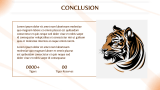 Project Tiger in India Presentation - Slide 11